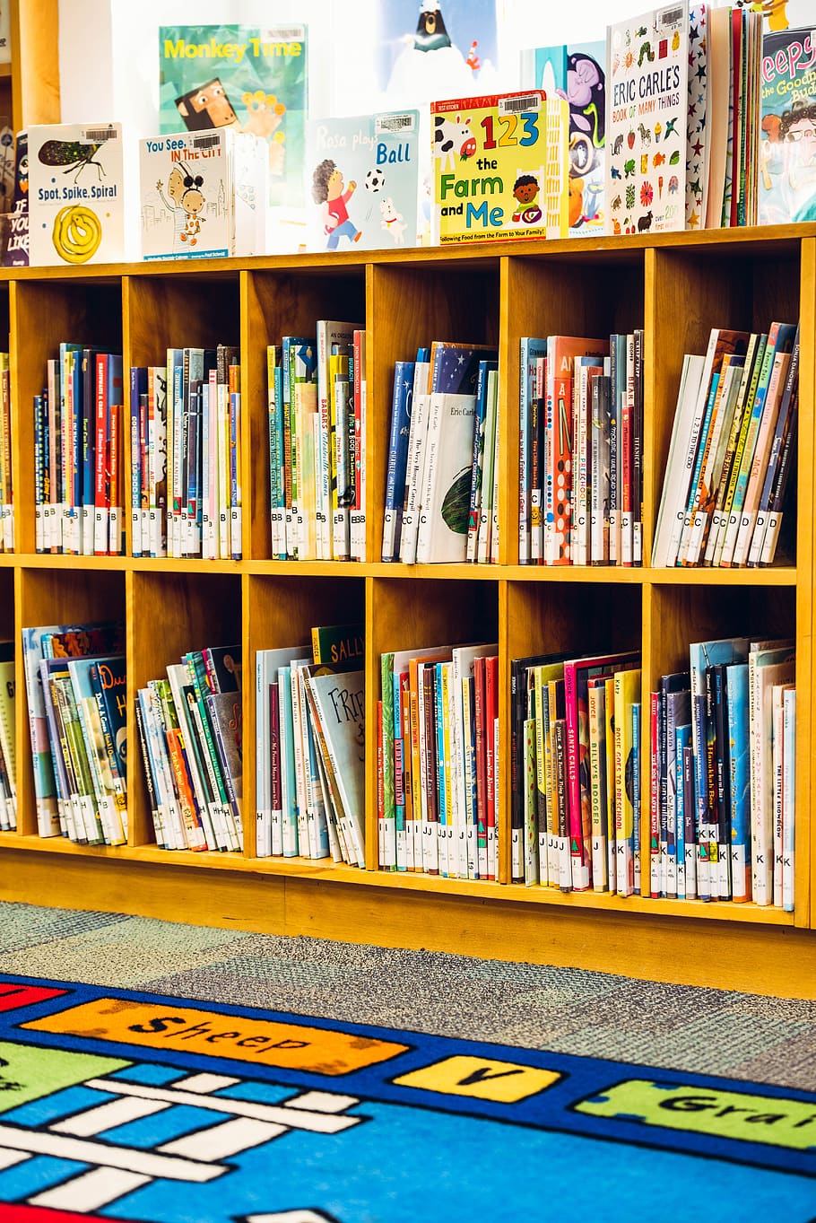 Children's literature
