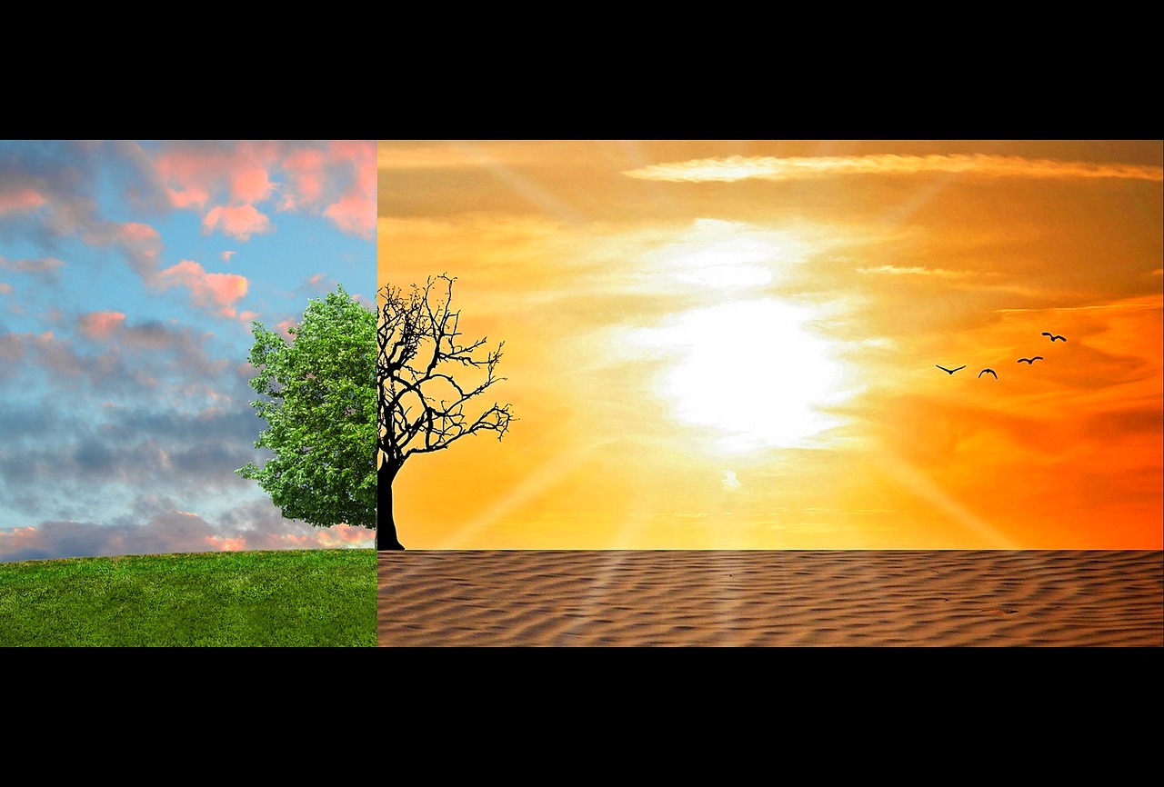 Climate change logo