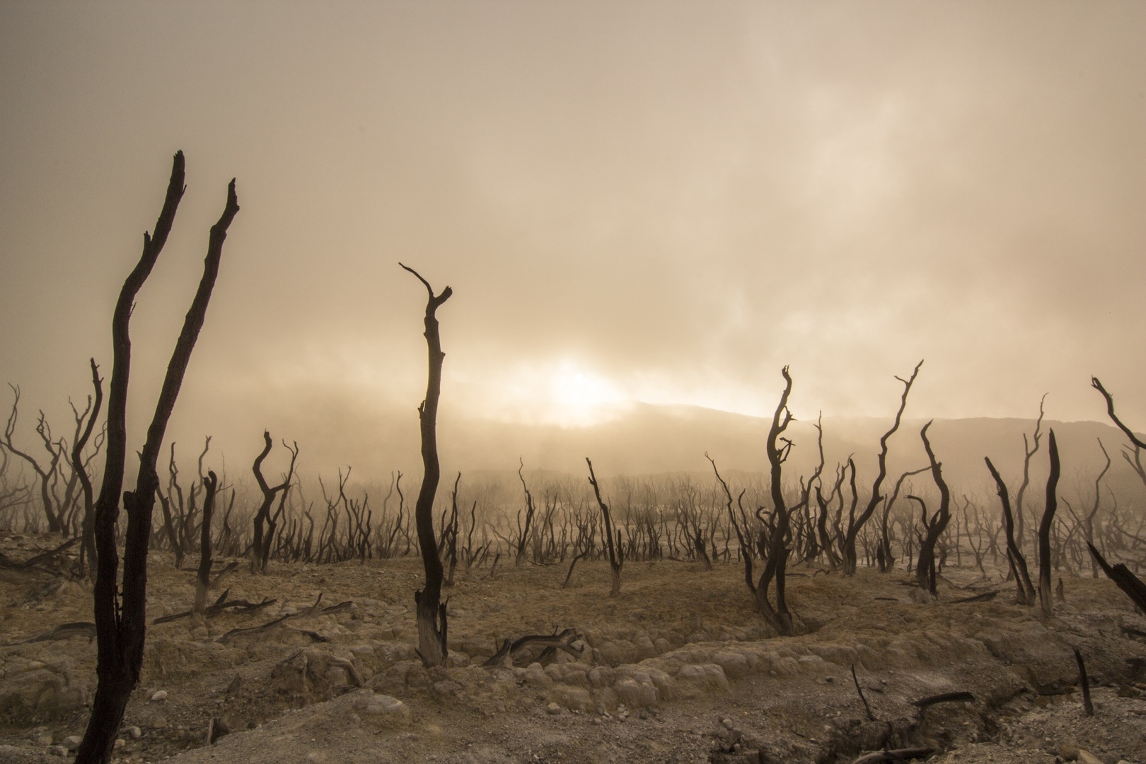 Climate