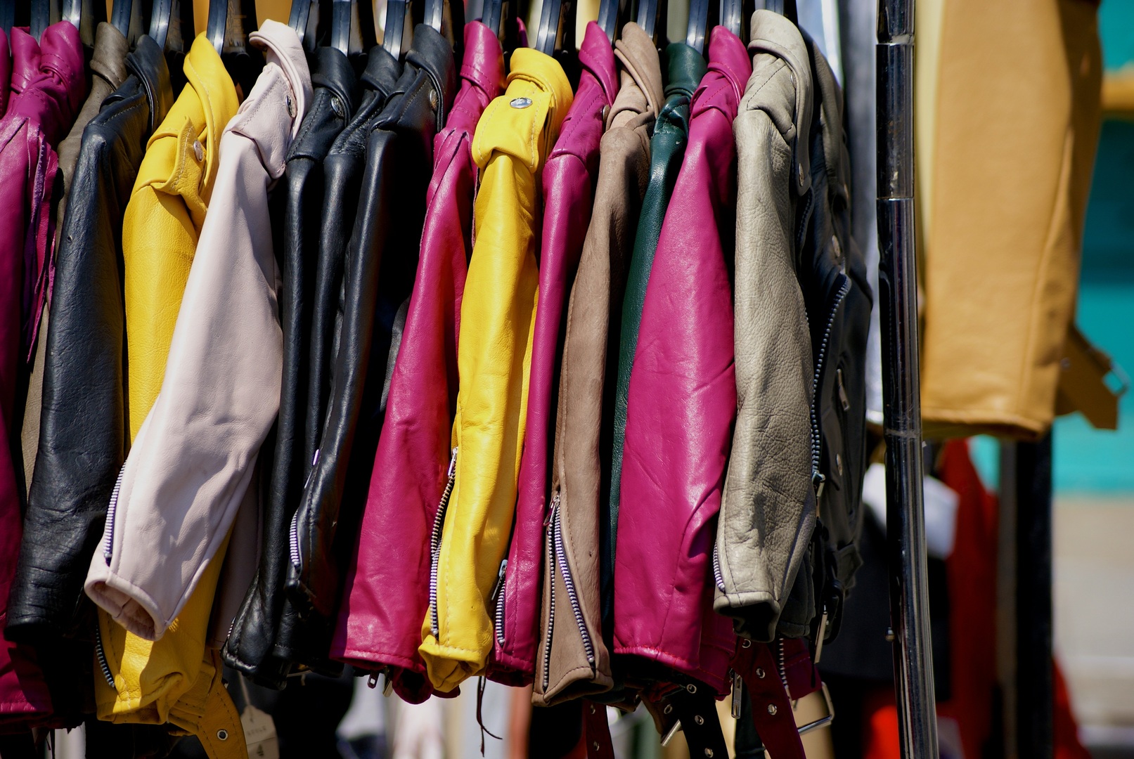 Coat (clothing)