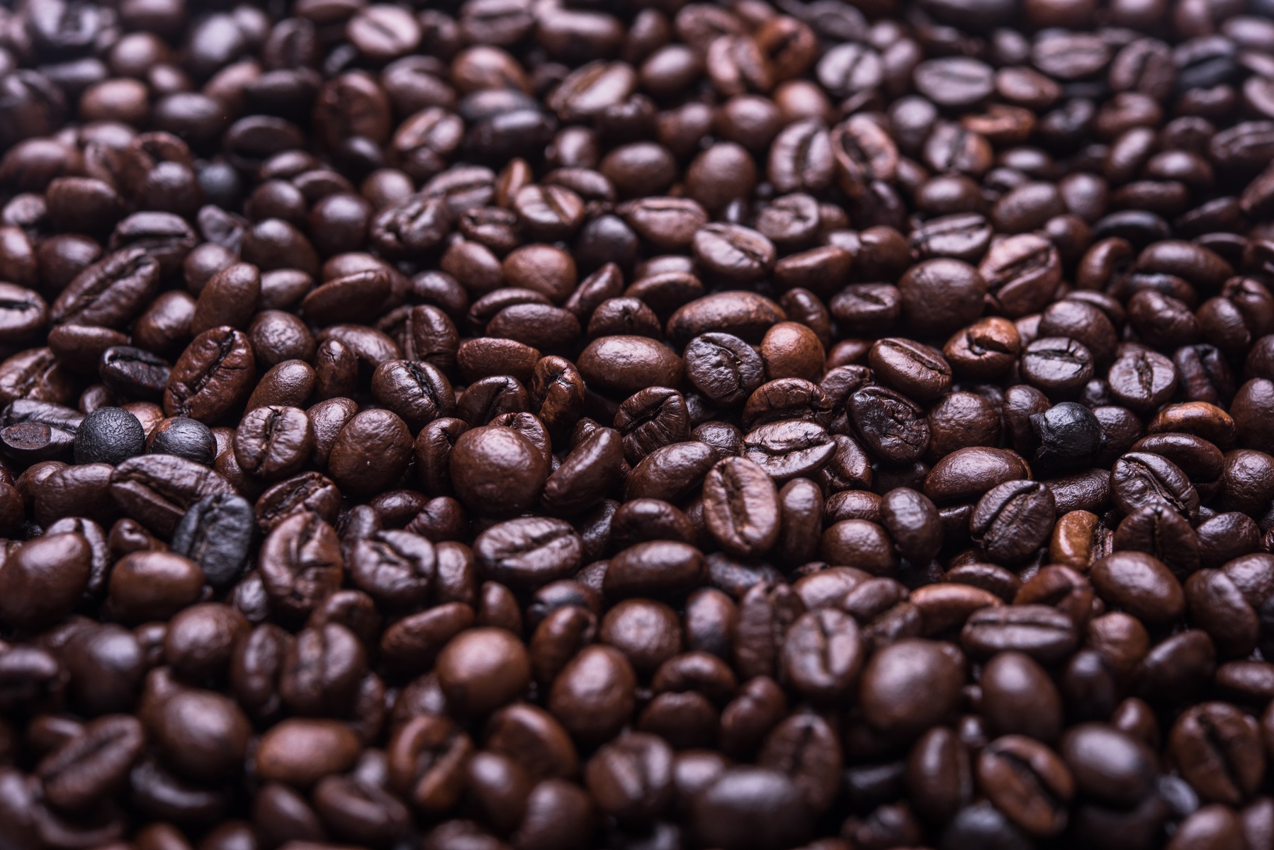 Coffee bean logo