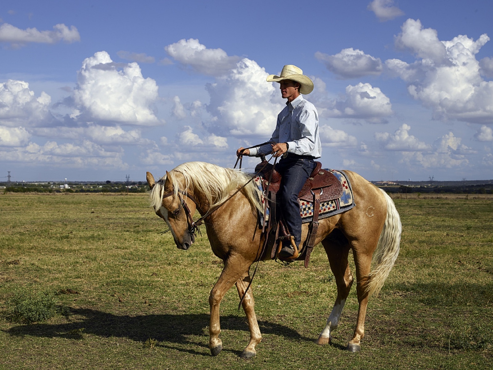 Cowboy logo