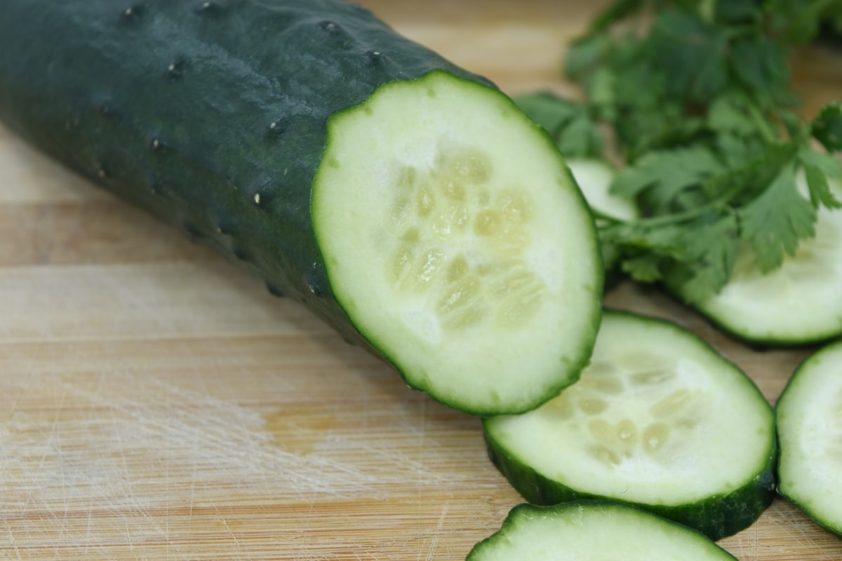 Cucumber