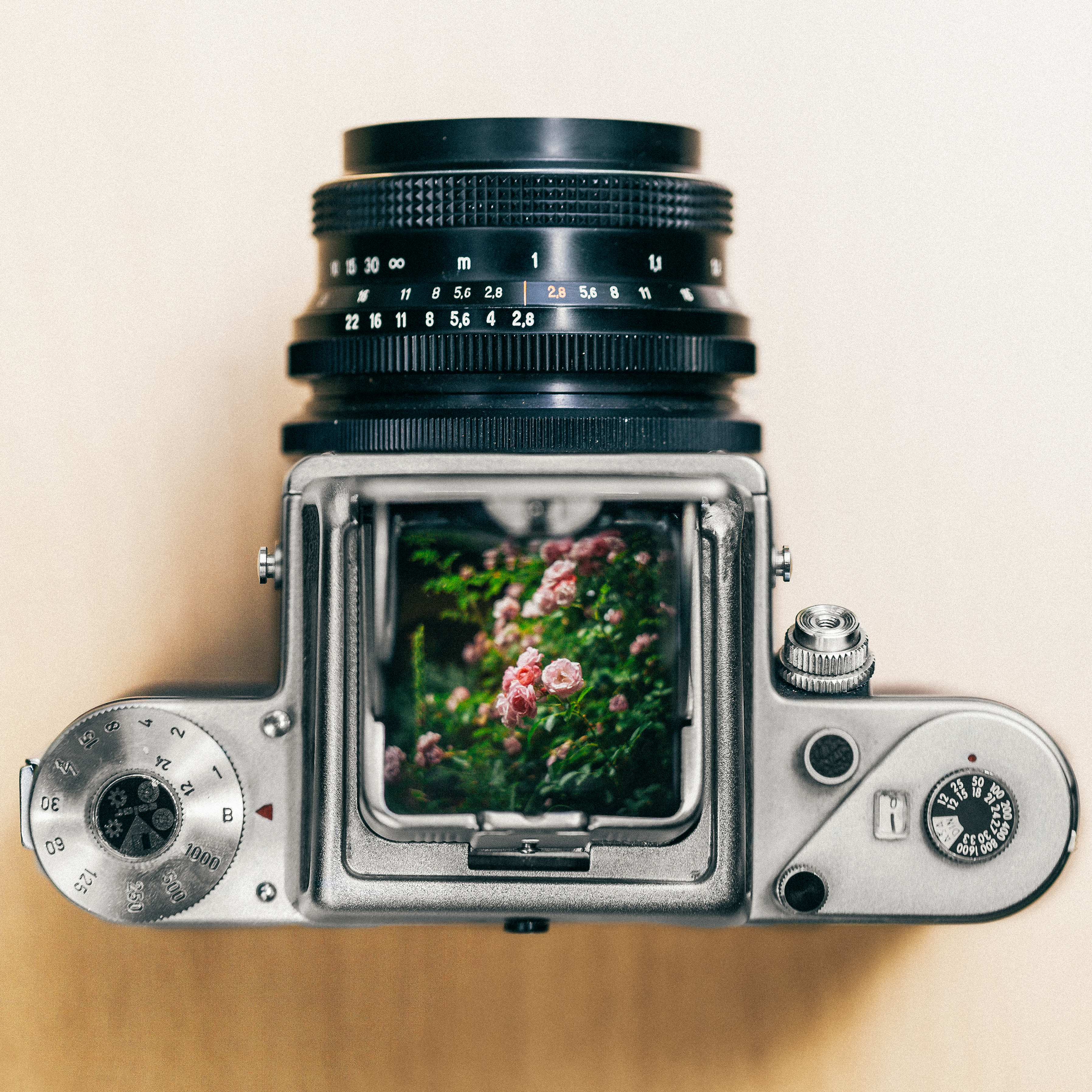 Digital camera
