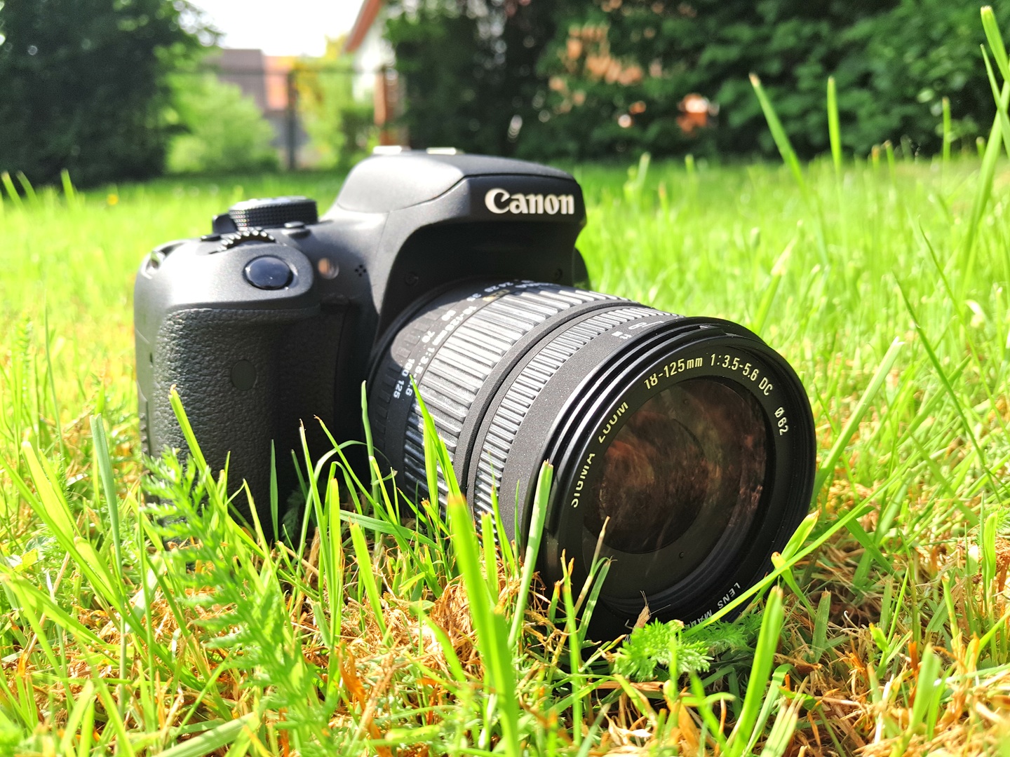 Digital single-lens reflex camera