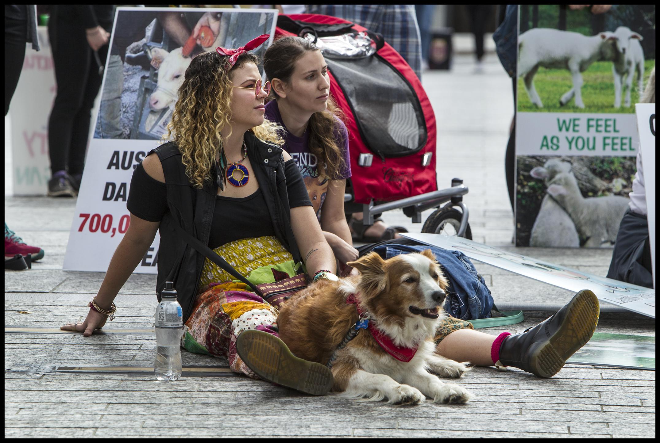 Dog lovers