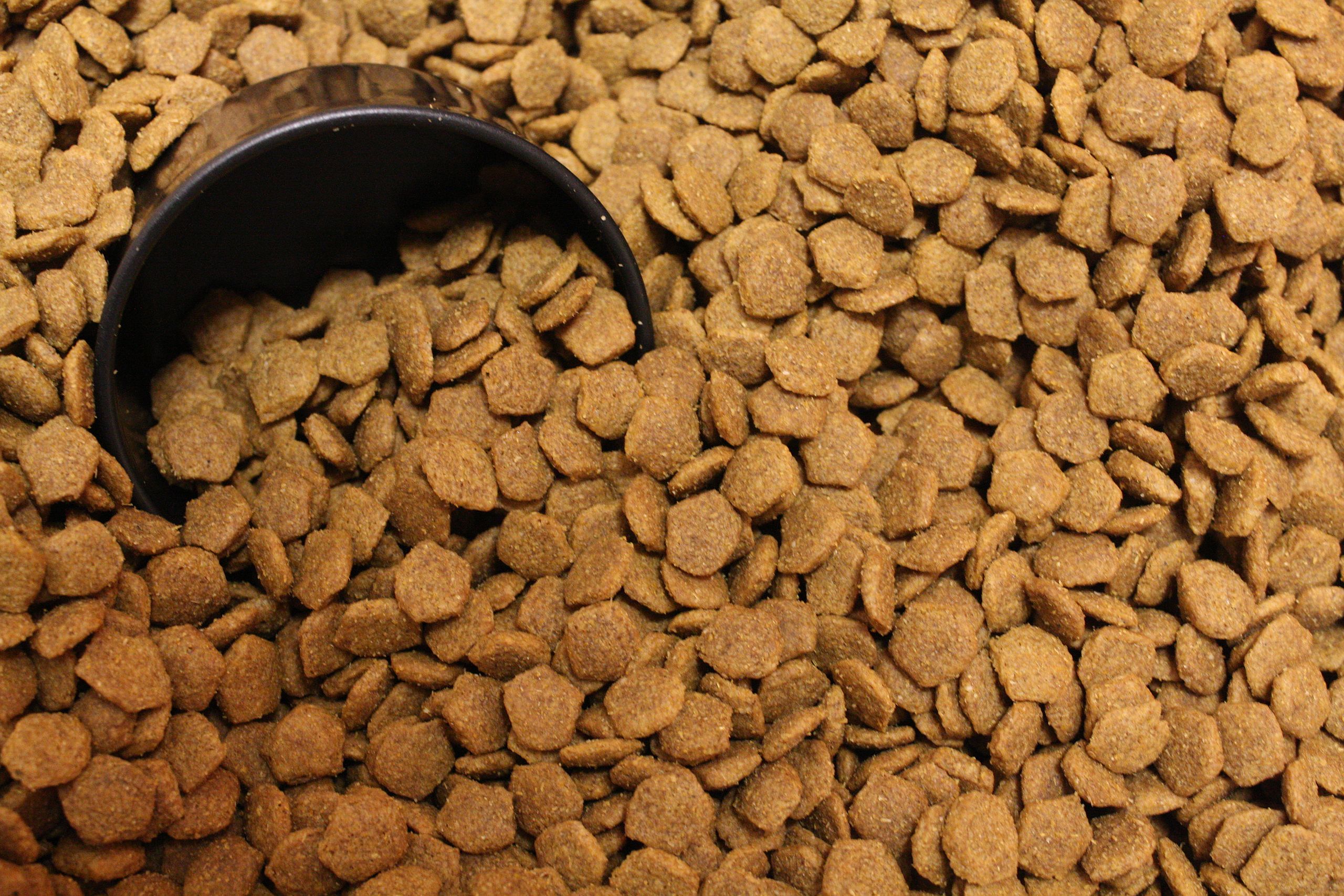 Dog food