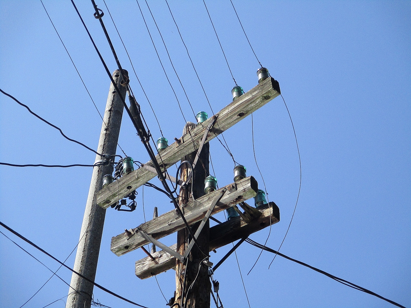 Electric utility logo