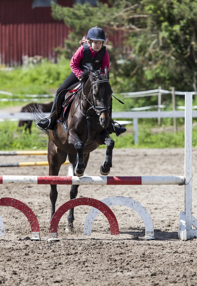 Equitation logo