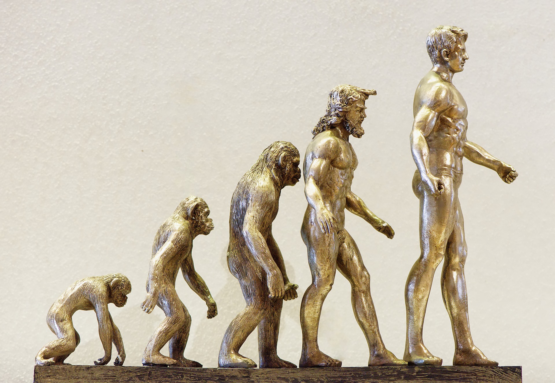 Evolutionary psychology