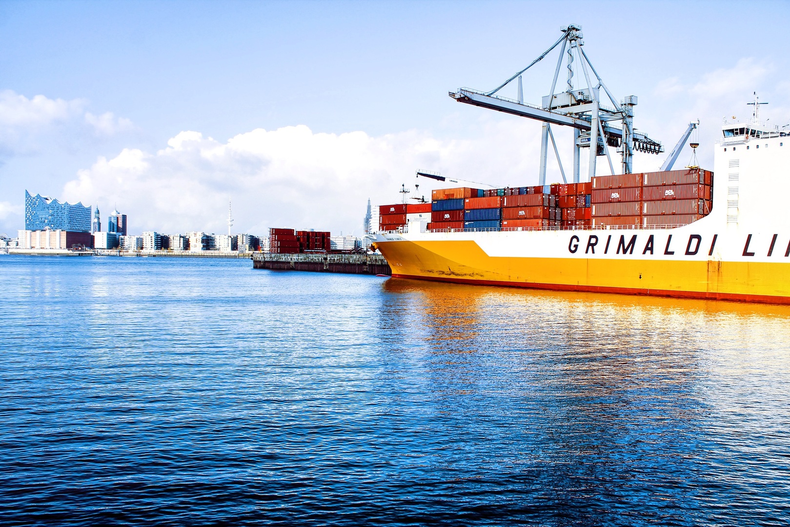 Export logo