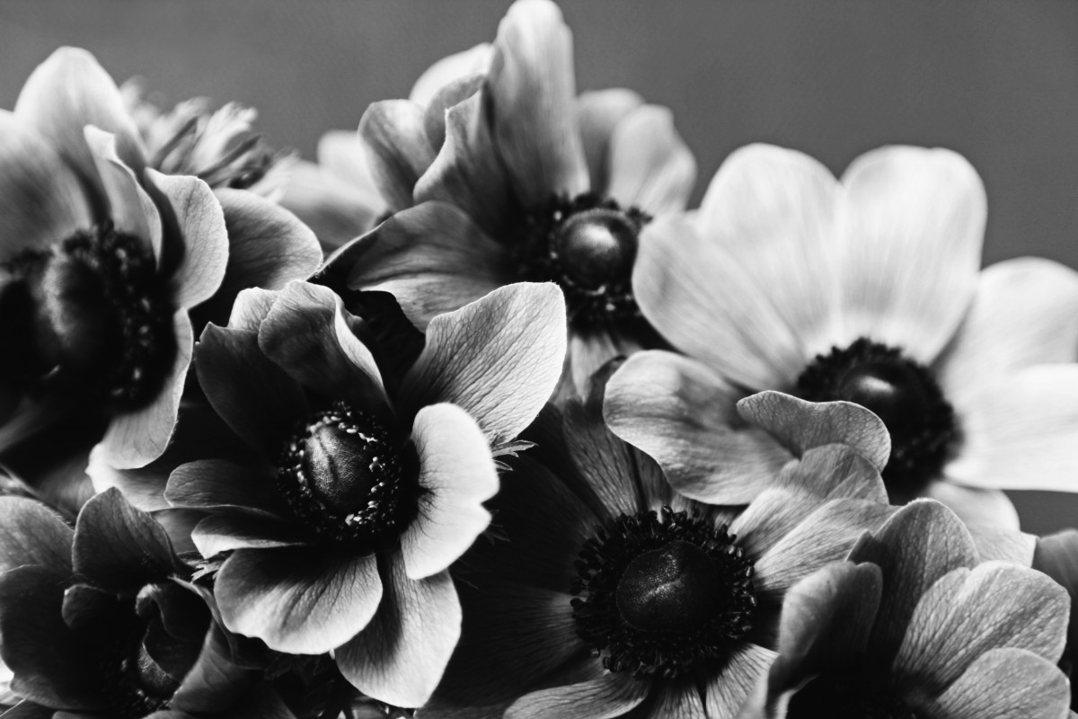 Fine-art photography