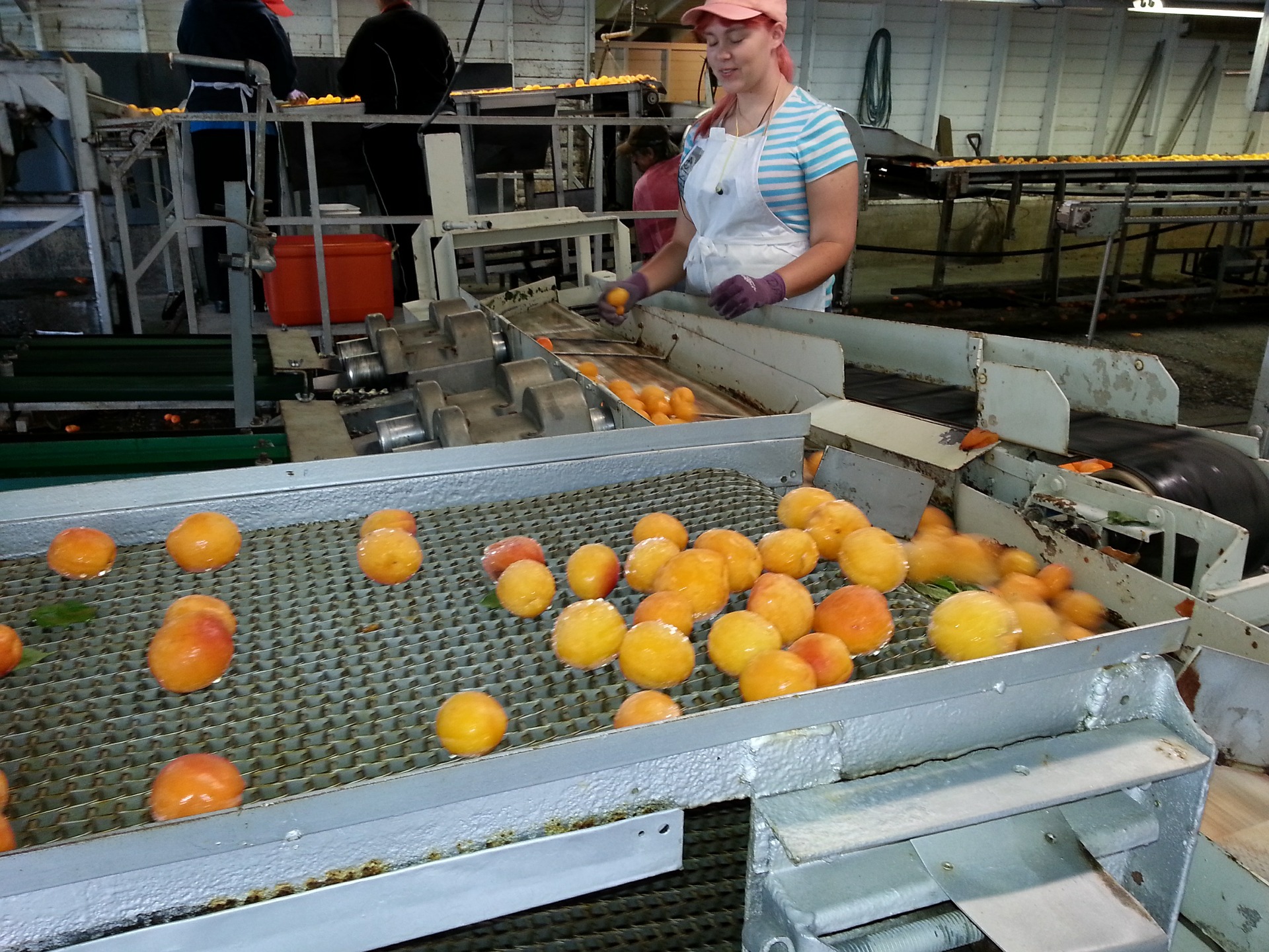 Food industry