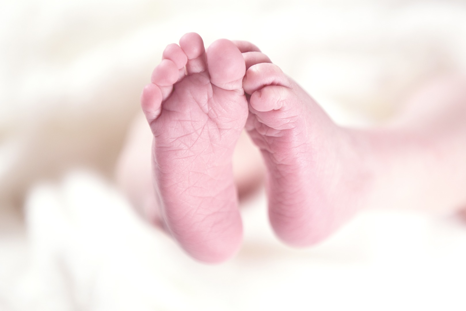 Foot