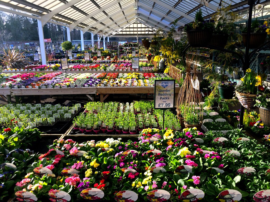 Garden centre