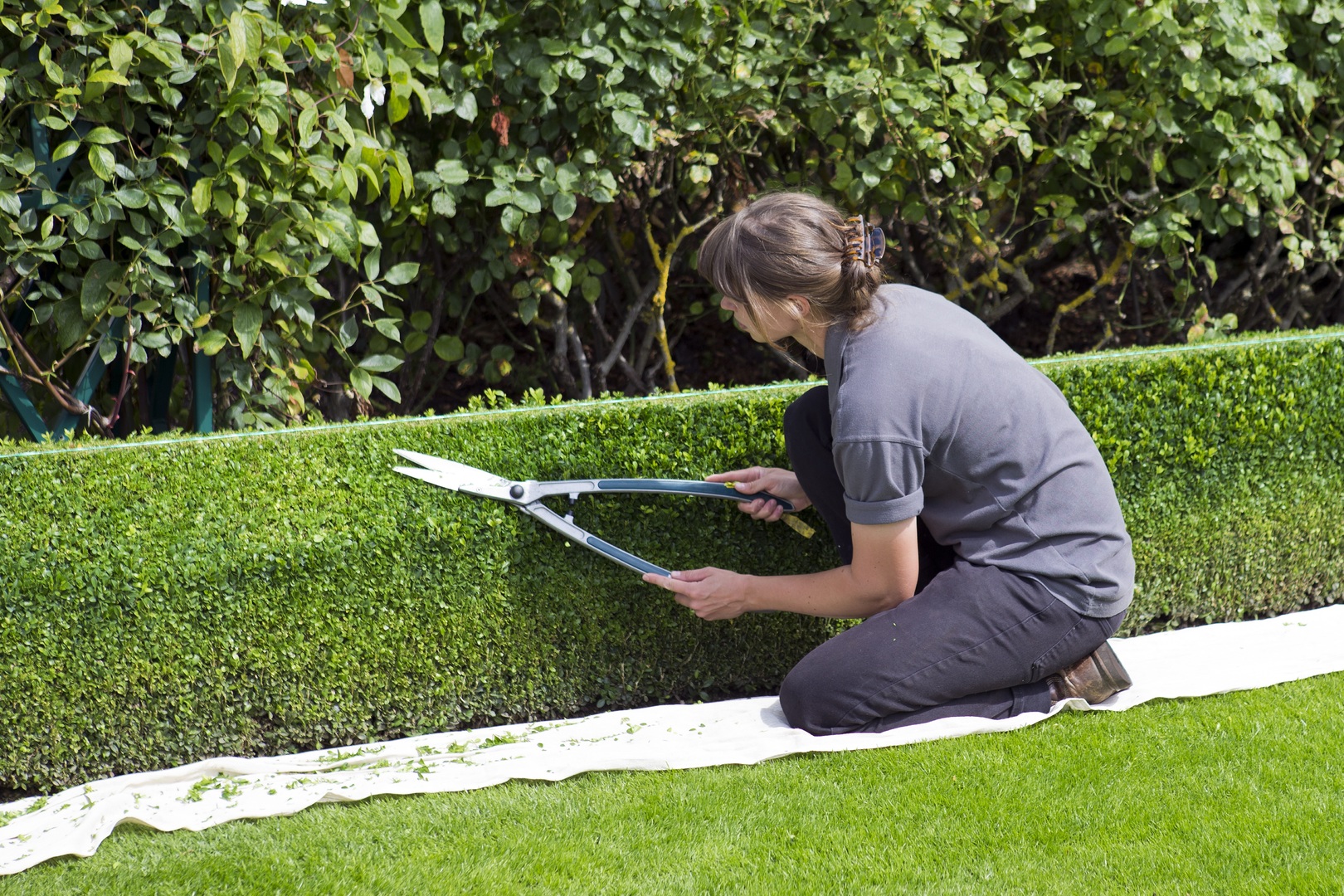 Gardener