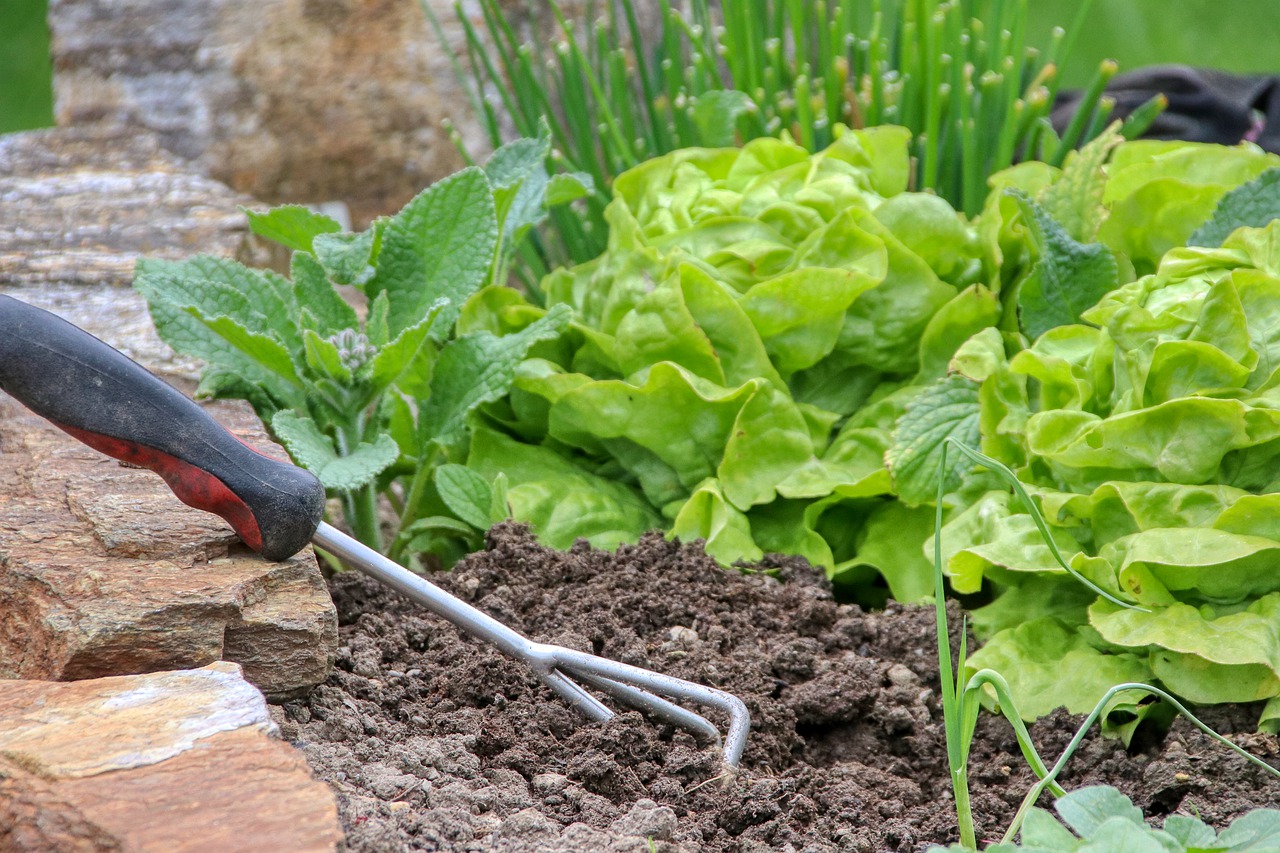 Gardening