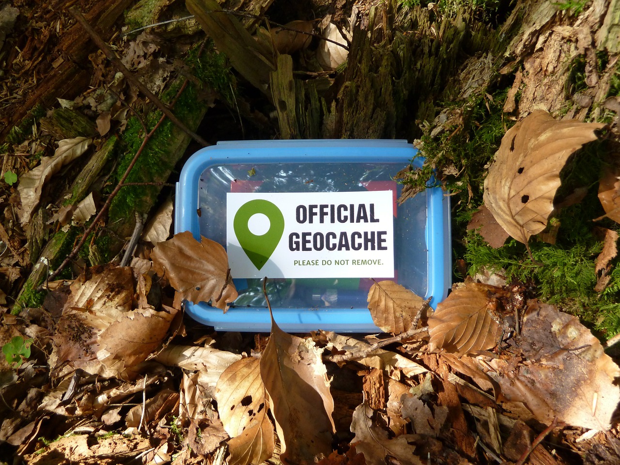 Geocaching logo