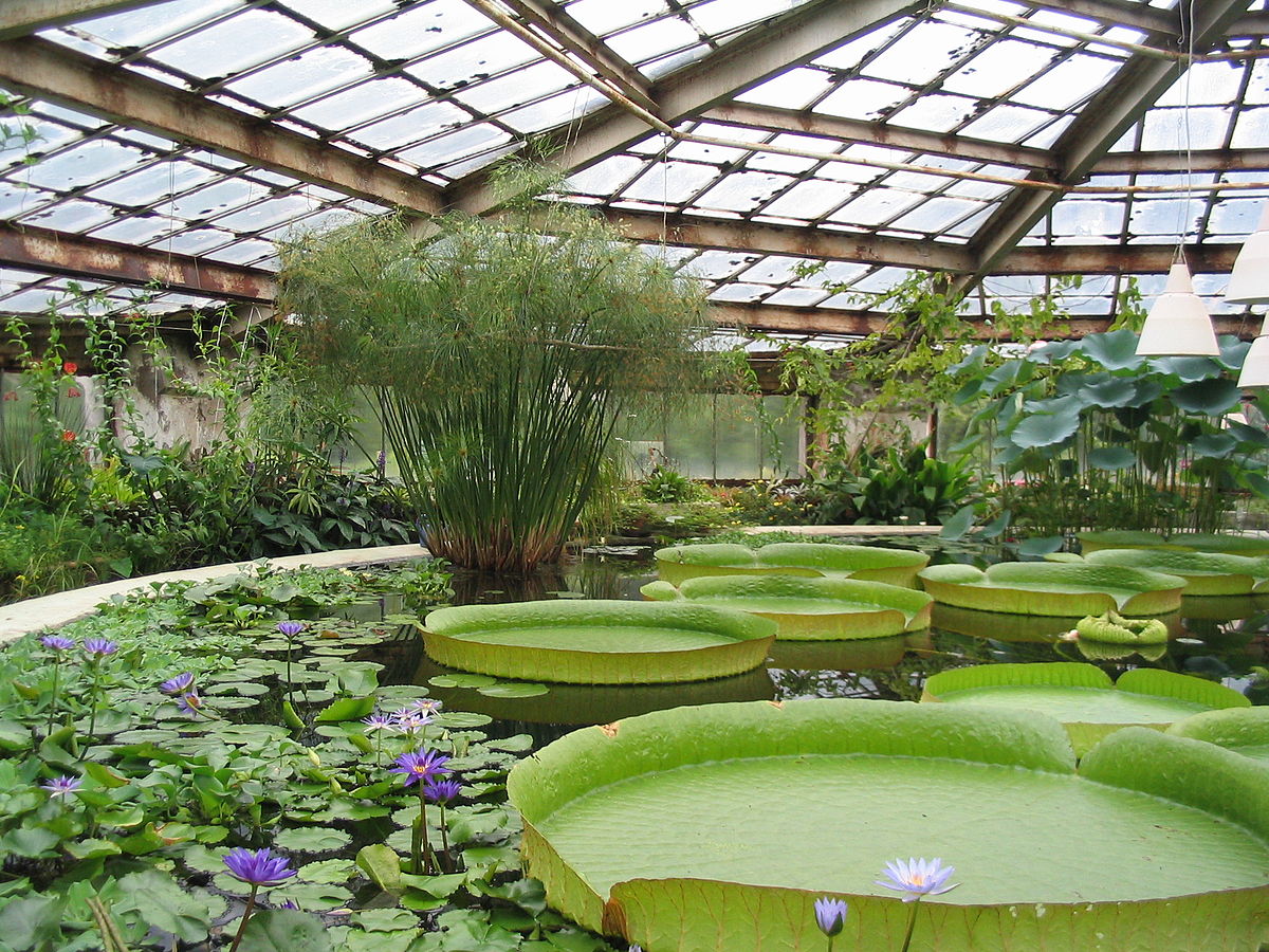 Greenhouse logo