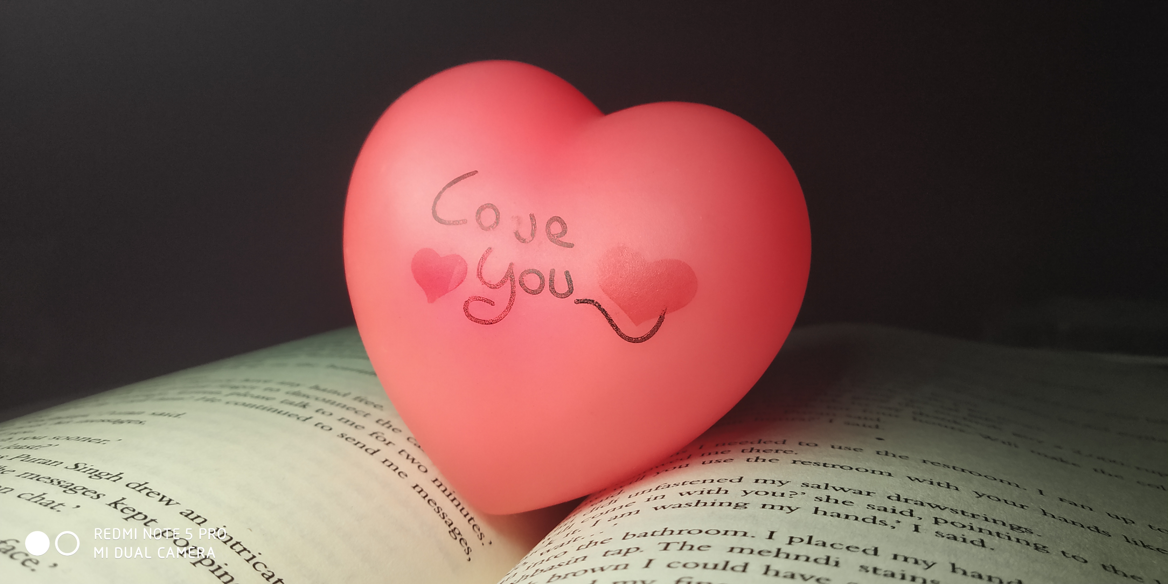 Heart (novel)
