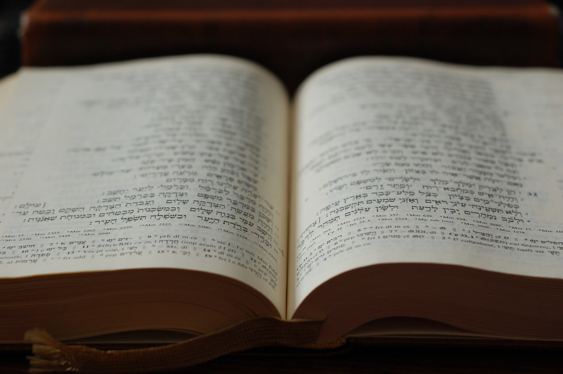 Hebrew Bible logo