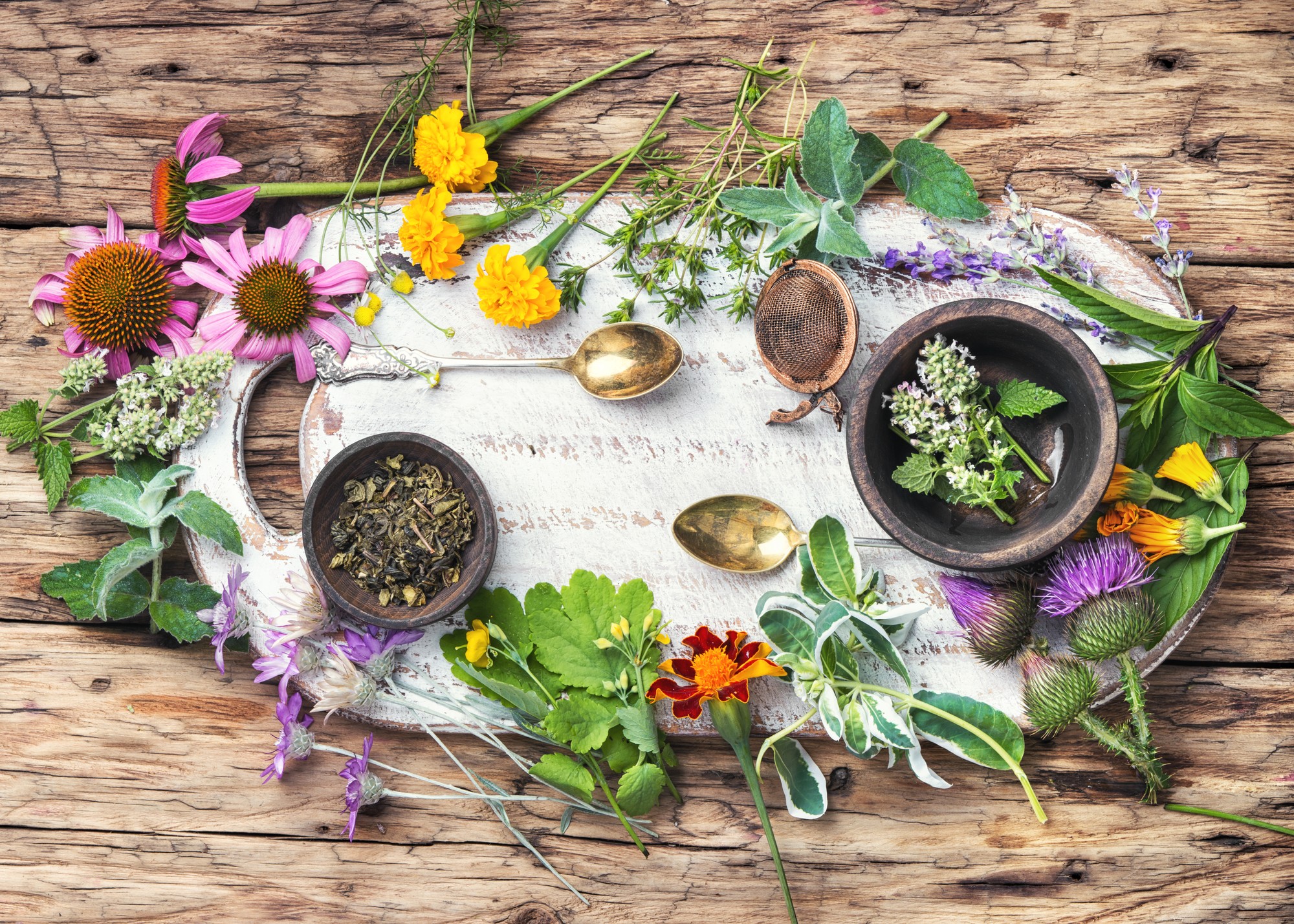 Herbalism
