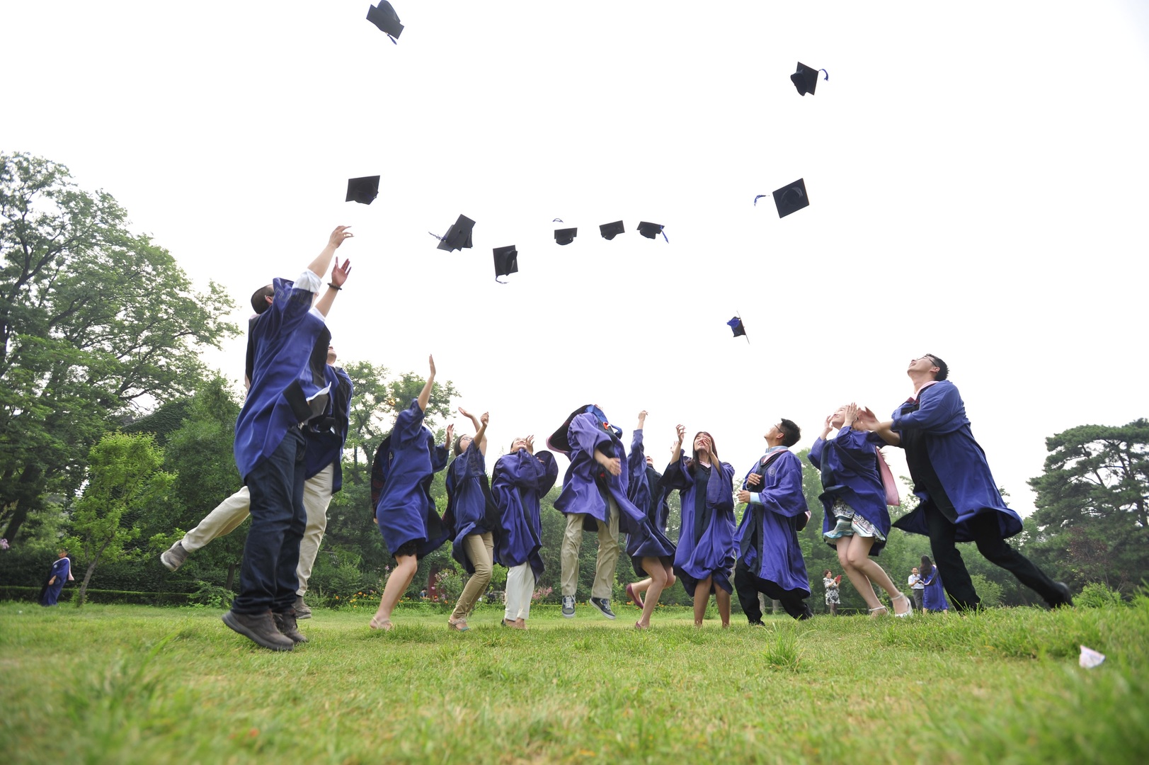 Higher education