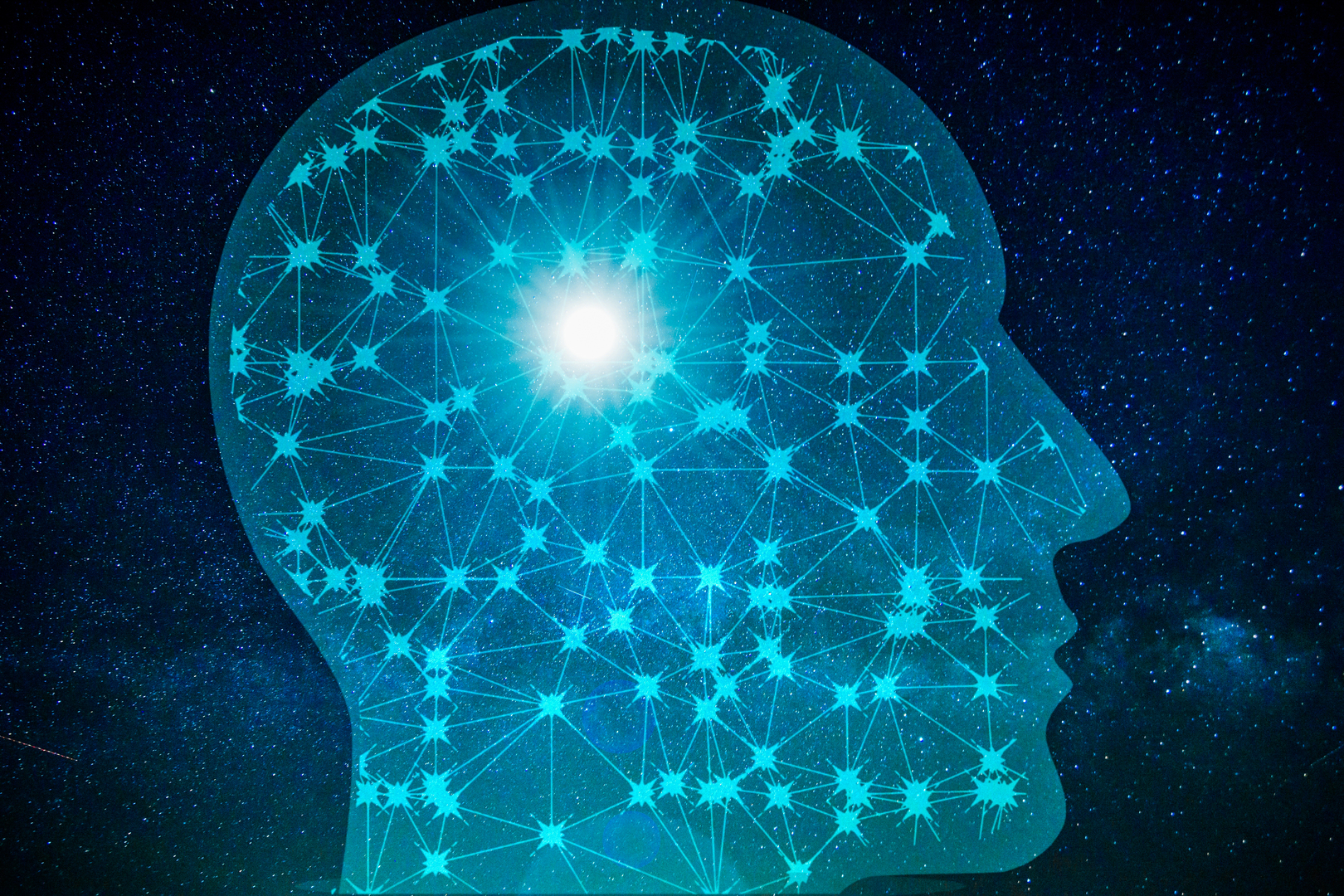 Intelligence