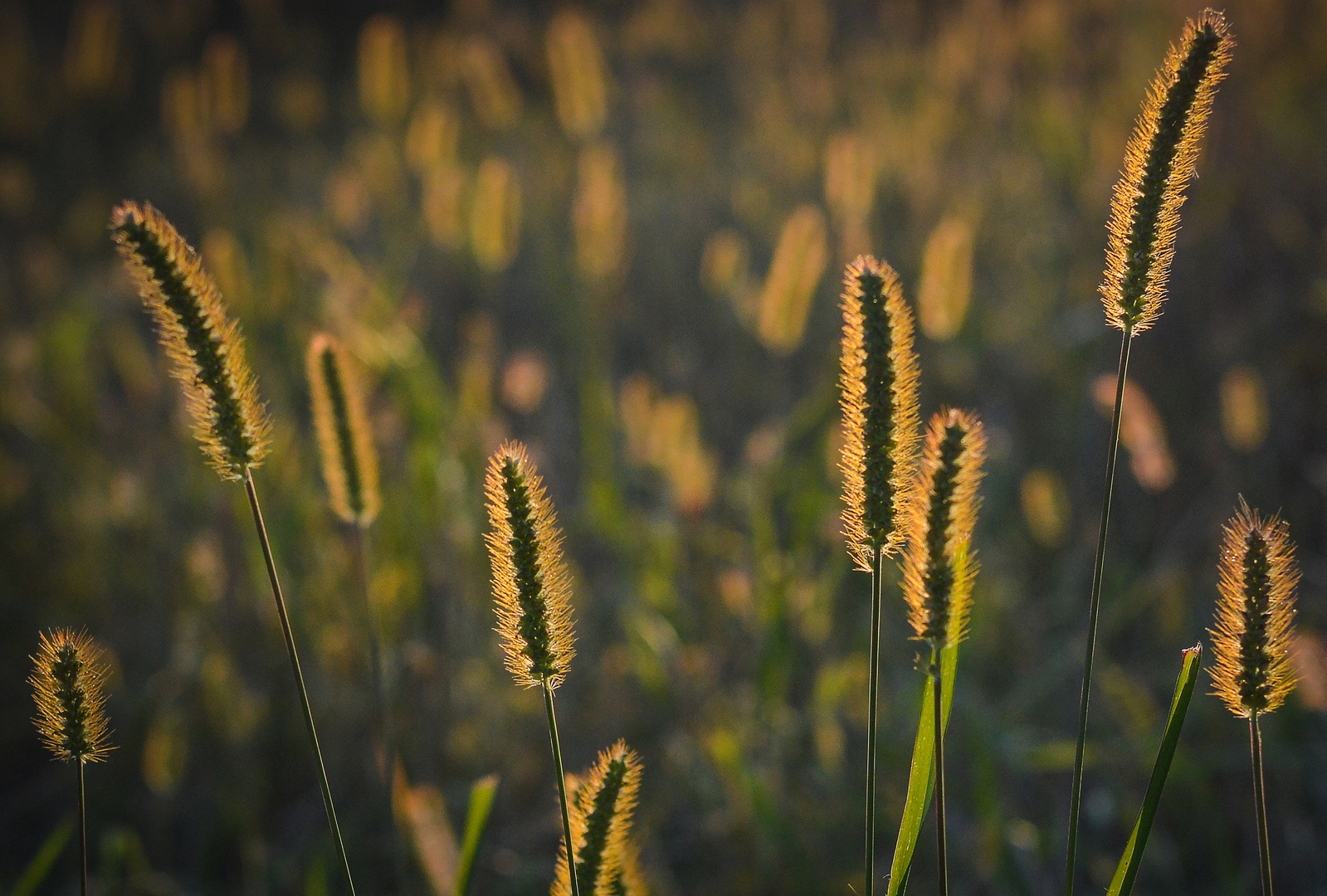 Landscape photography