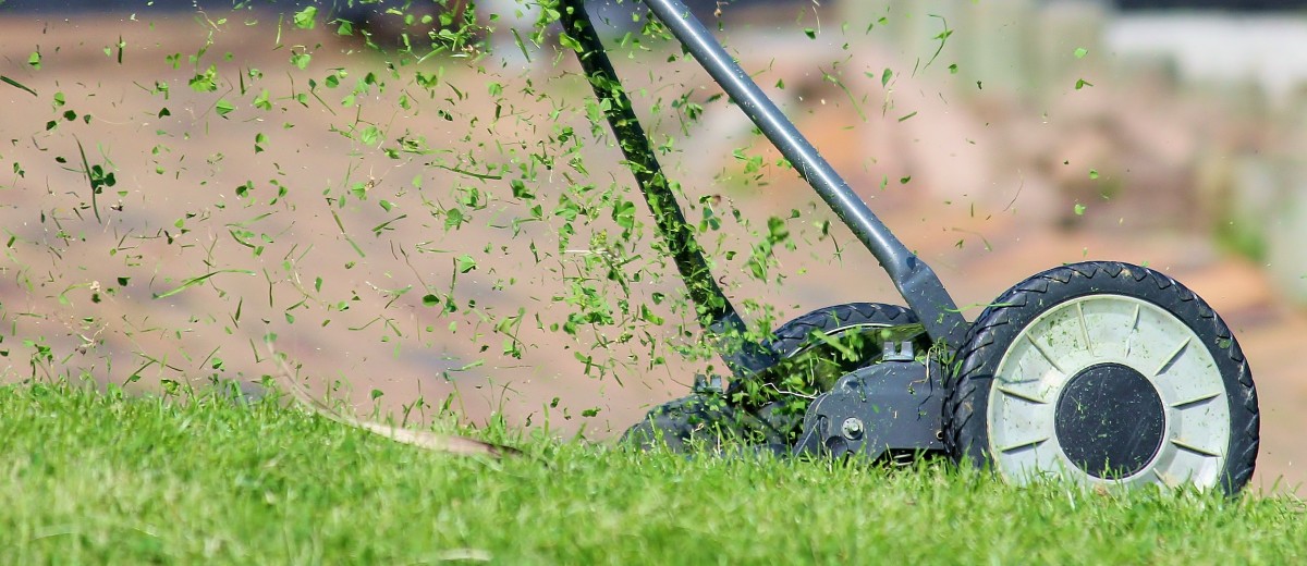 Lawn mower logo