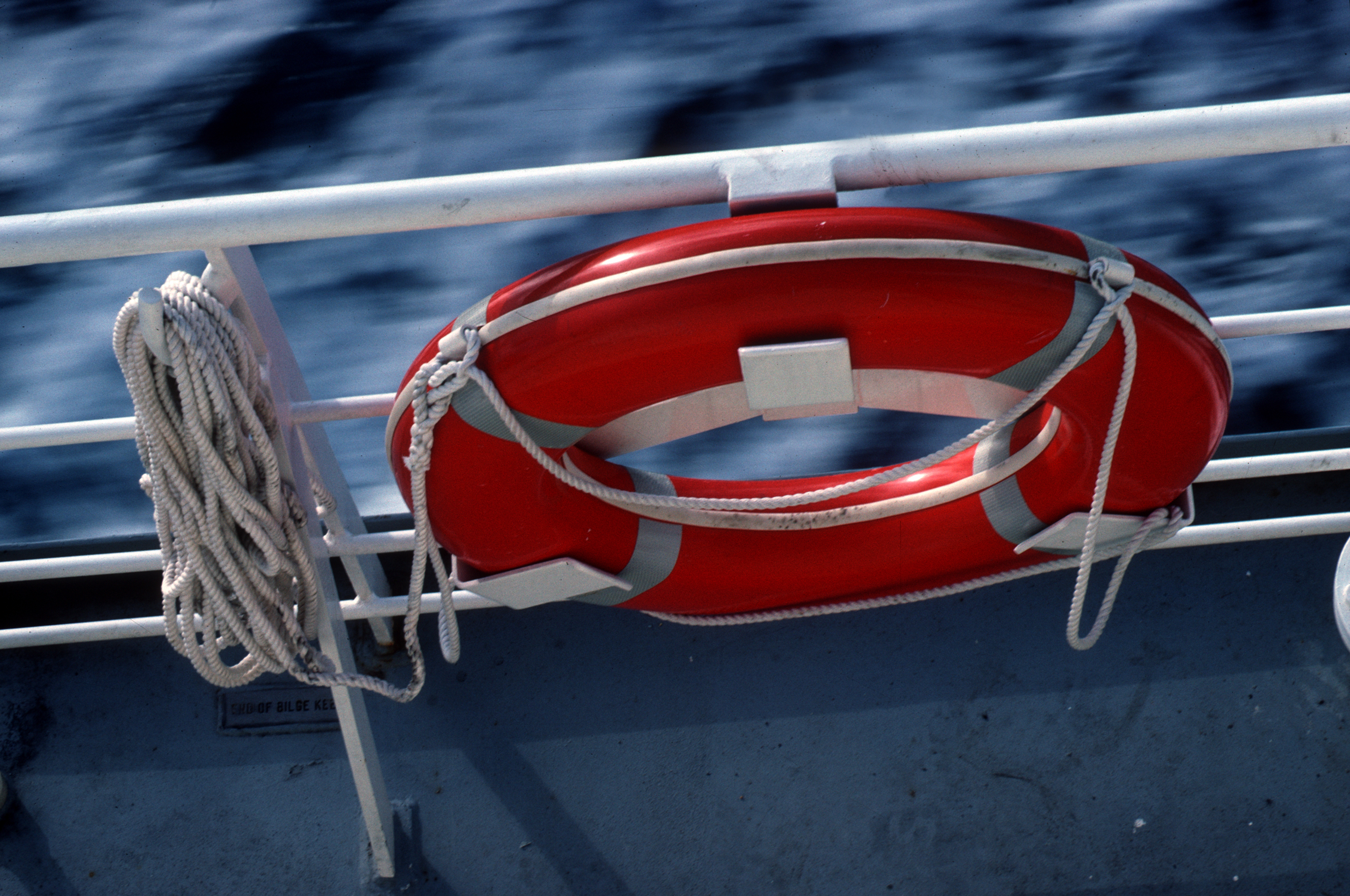 Lifesaving logo