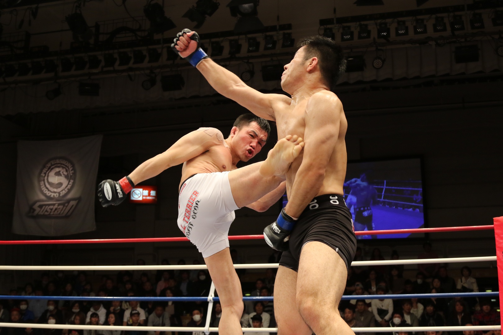Mixed martial arts