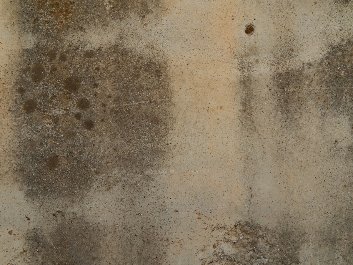 Mold logo