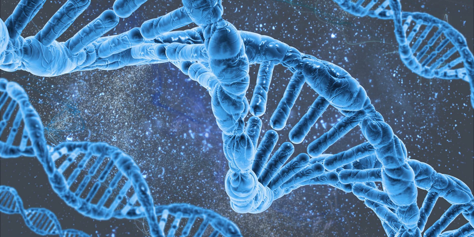 Molecular biology logo