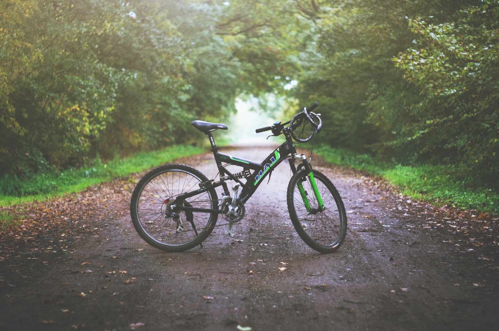 Mountain bike logo