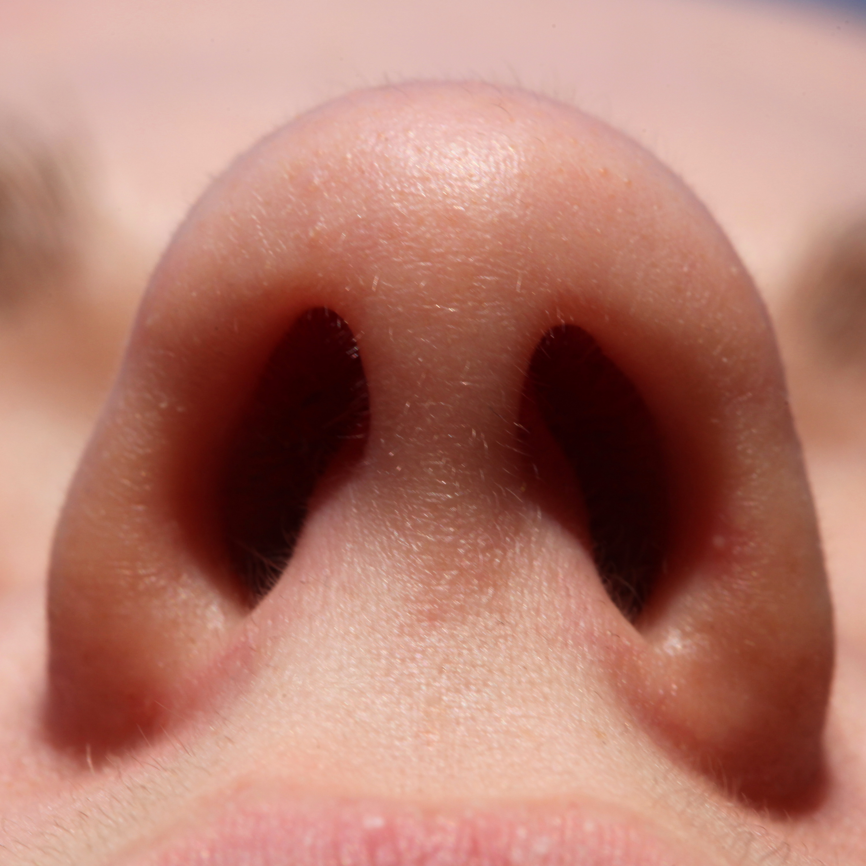 Nasal hair