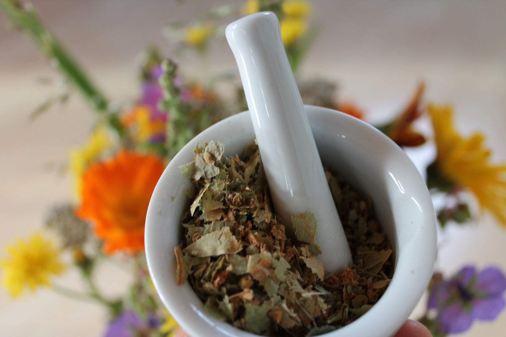 Naturopathy logo