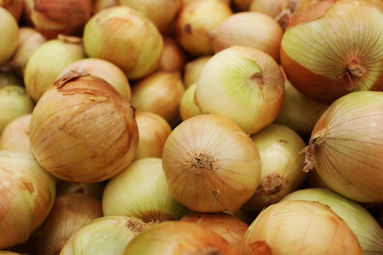 Onion