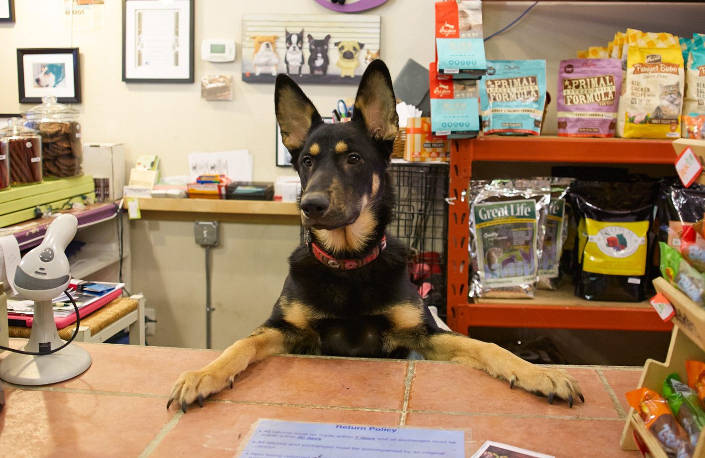Pet store