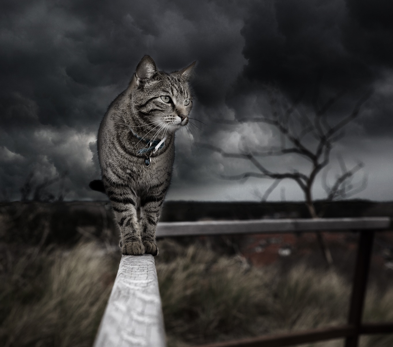 Photo manipulation logo