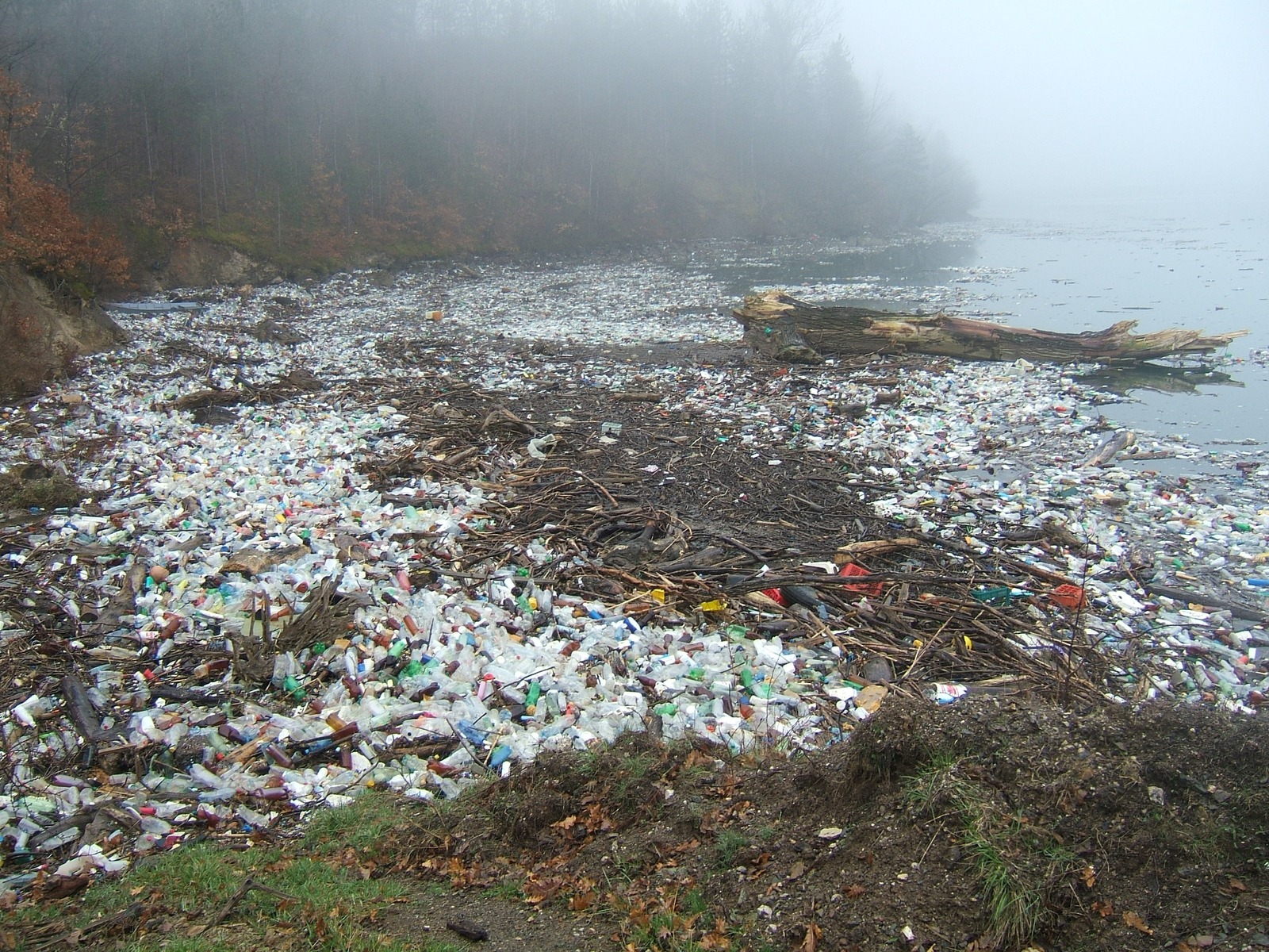 Plastic pollution logo