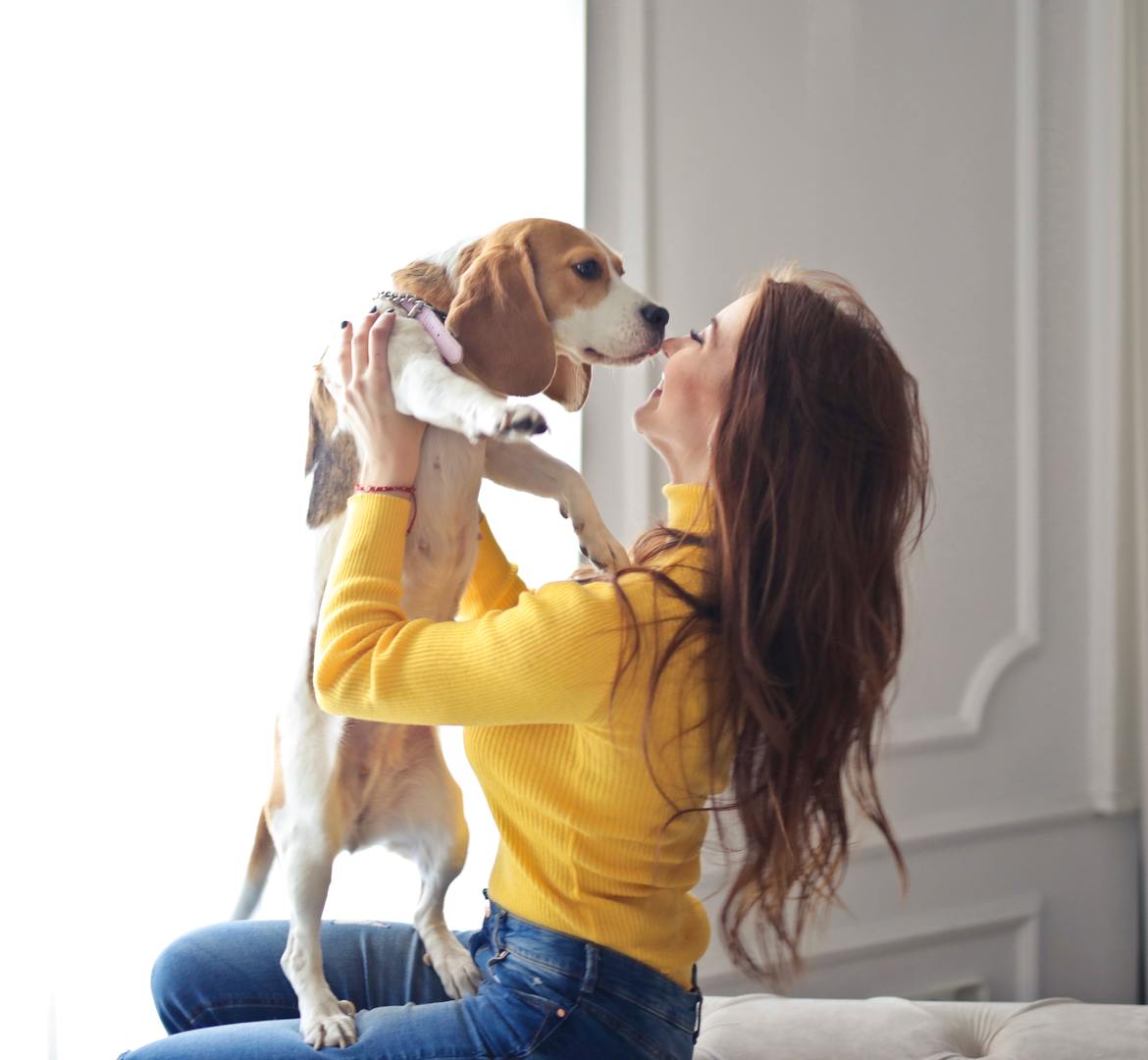 Puppy love logo