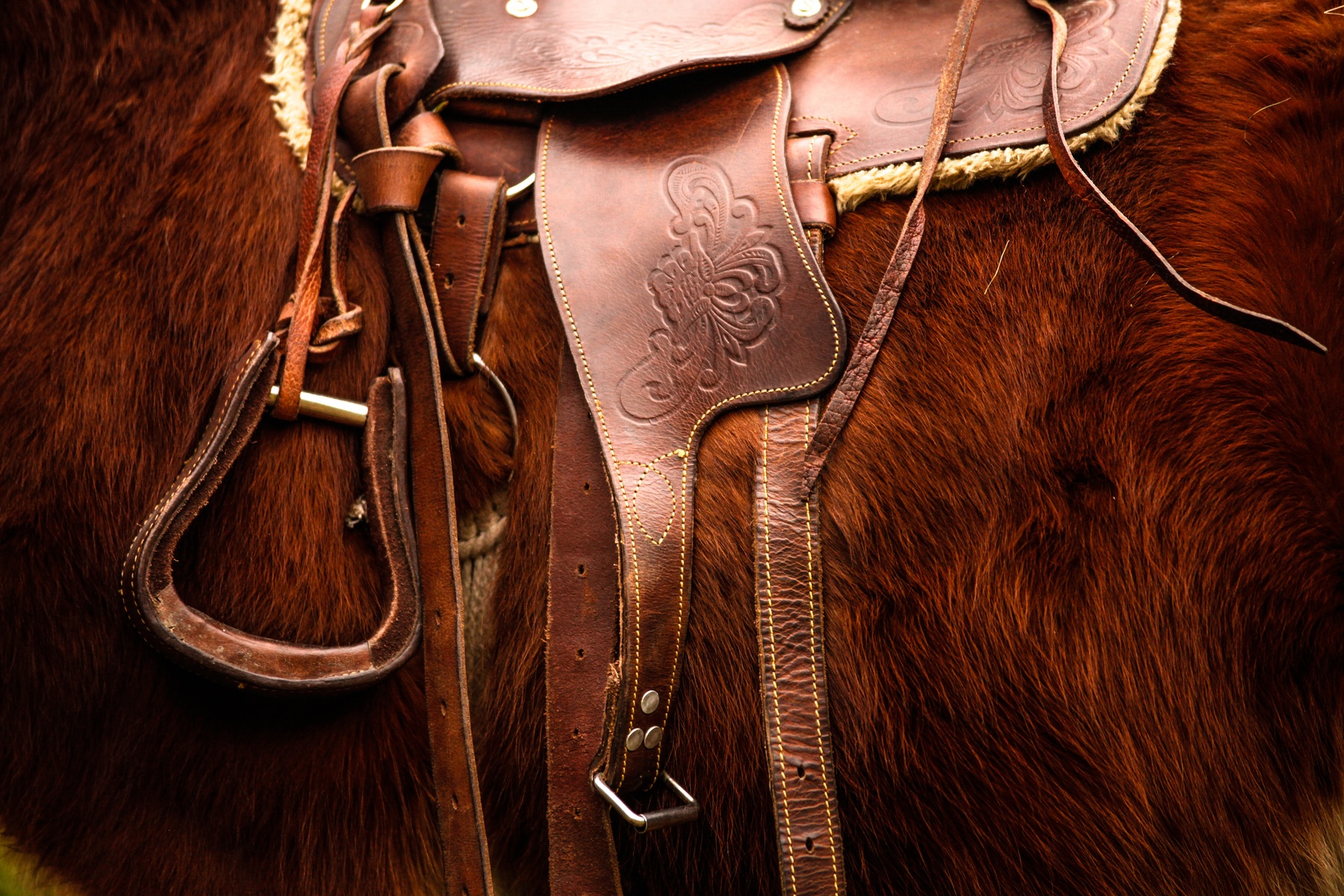 Saddle logo