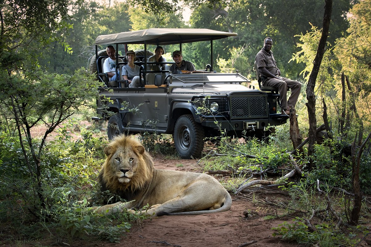 Safari logo