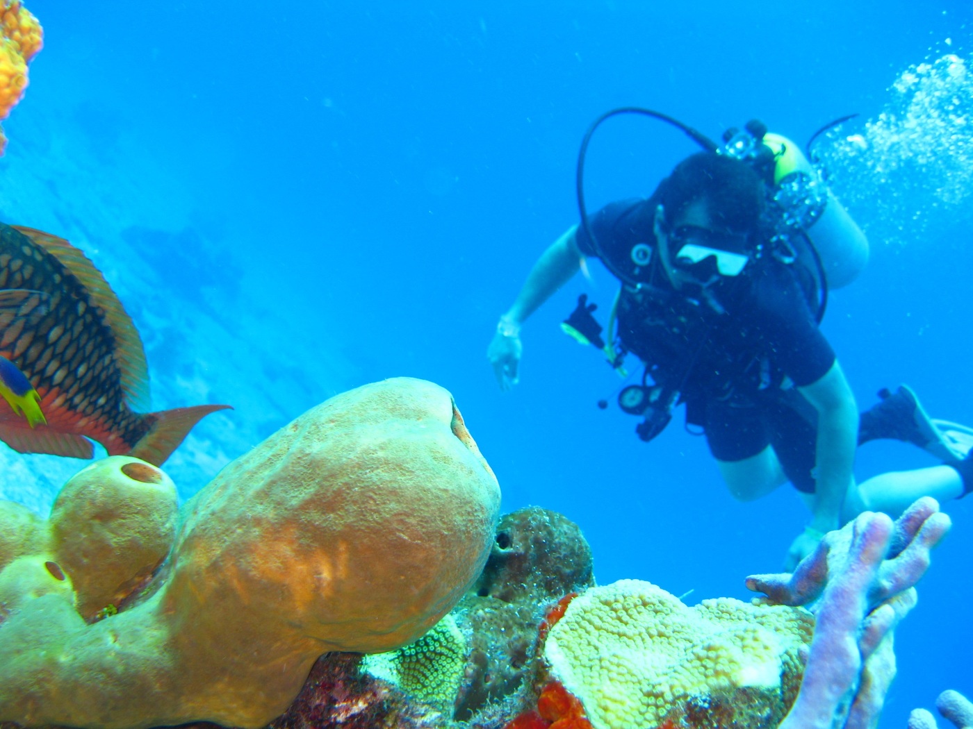 Scuba diving