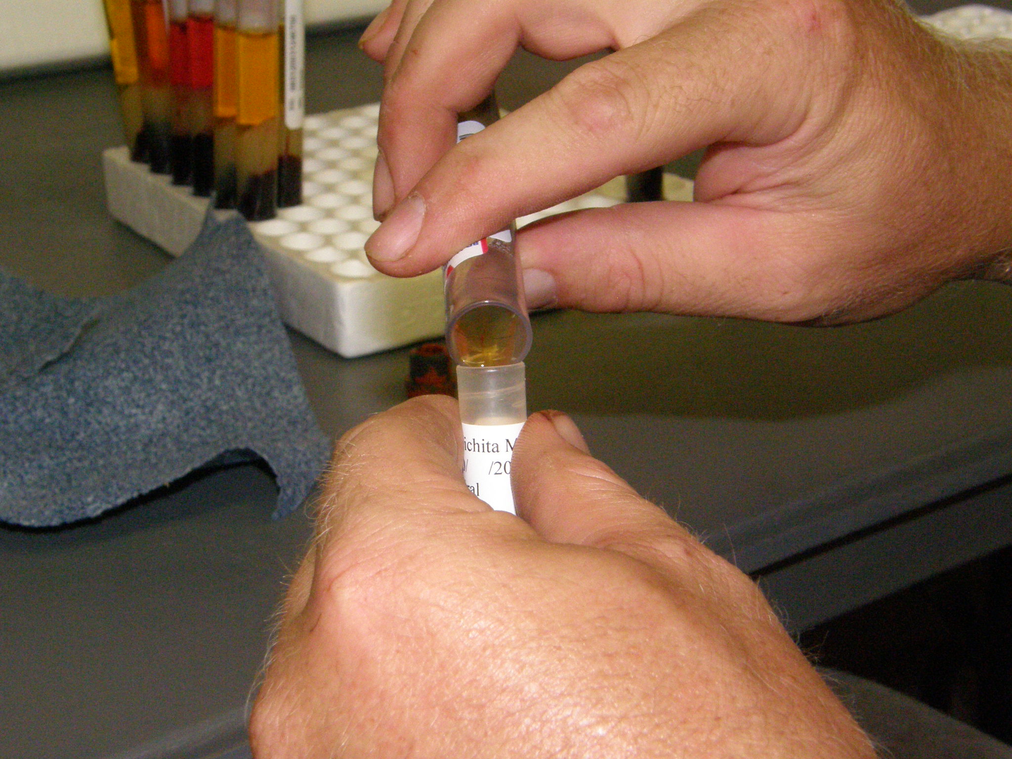 Serum (blood) logo