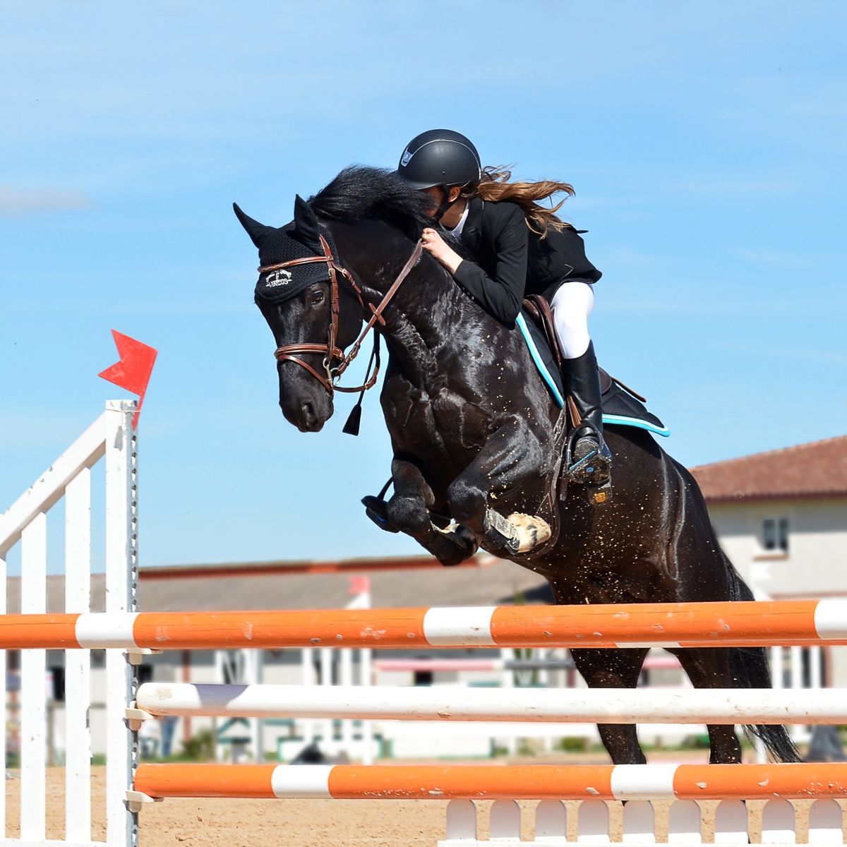 Show jumping logo