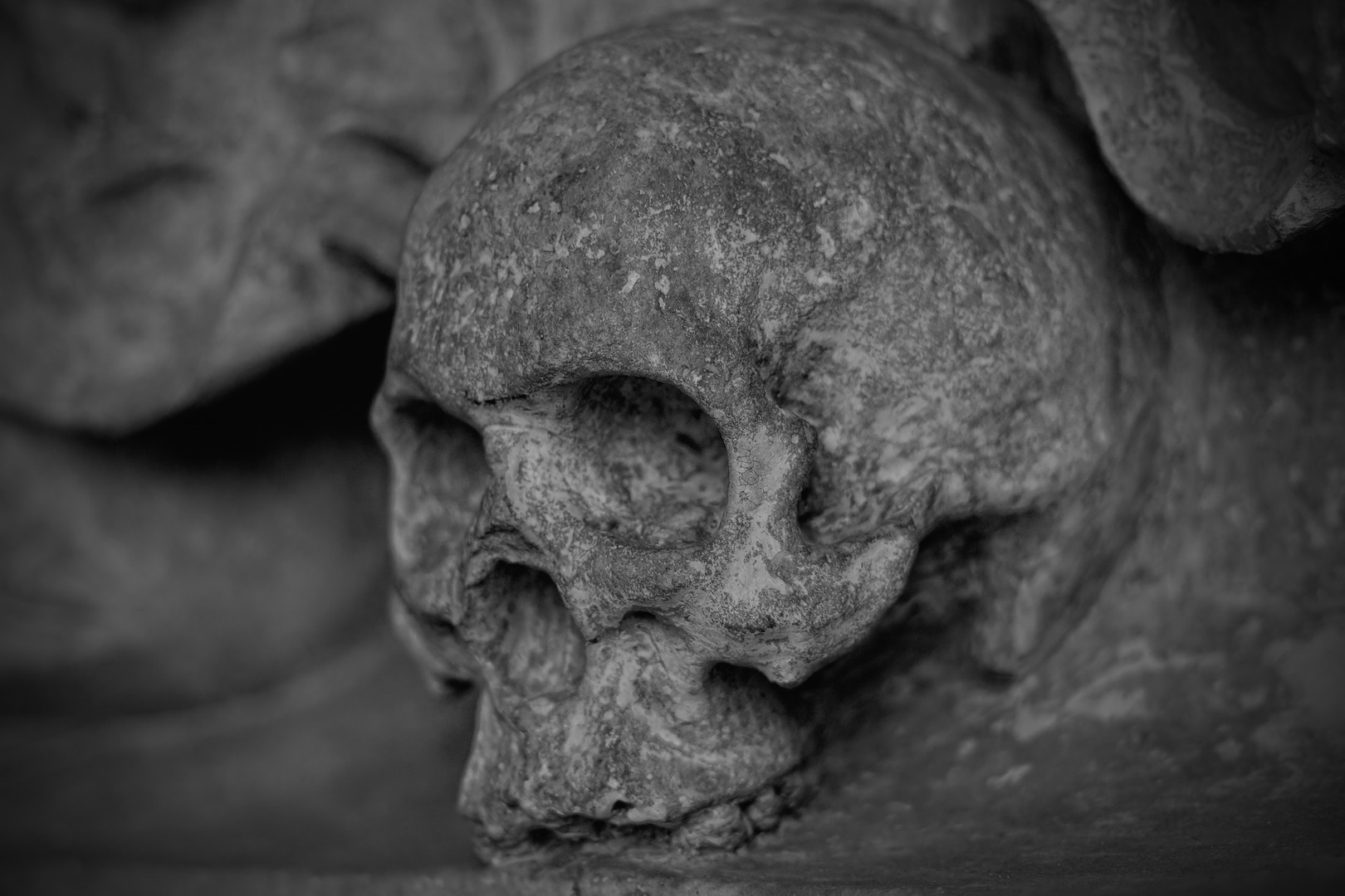 Skull