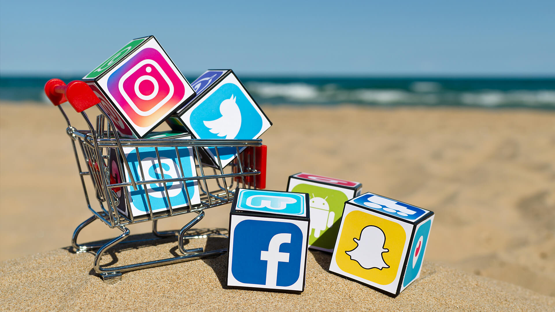 Social shopping