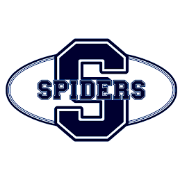 Straubing Spiders